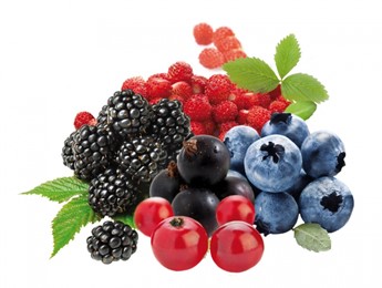 Frozen Fruits & Fruit Purees