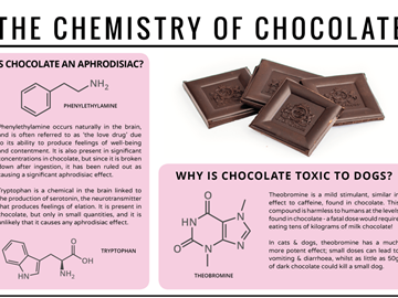 Chemistry of Chocolate
