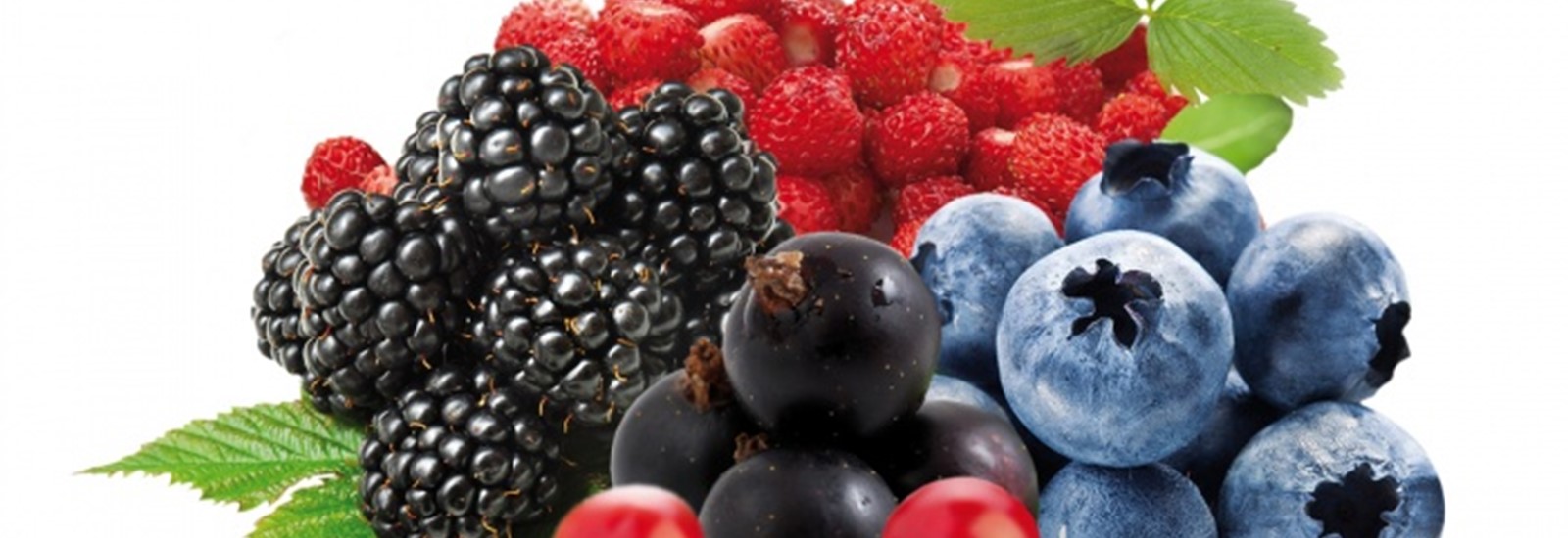 Frozen Fruits & Purees
